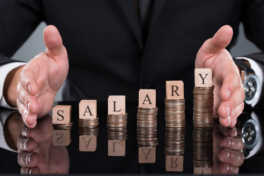 Businessman Protecting Salary Blocks On Stacked Coins